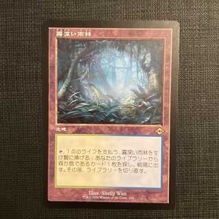 MH2【霧深い雨林】日本語 旧枠