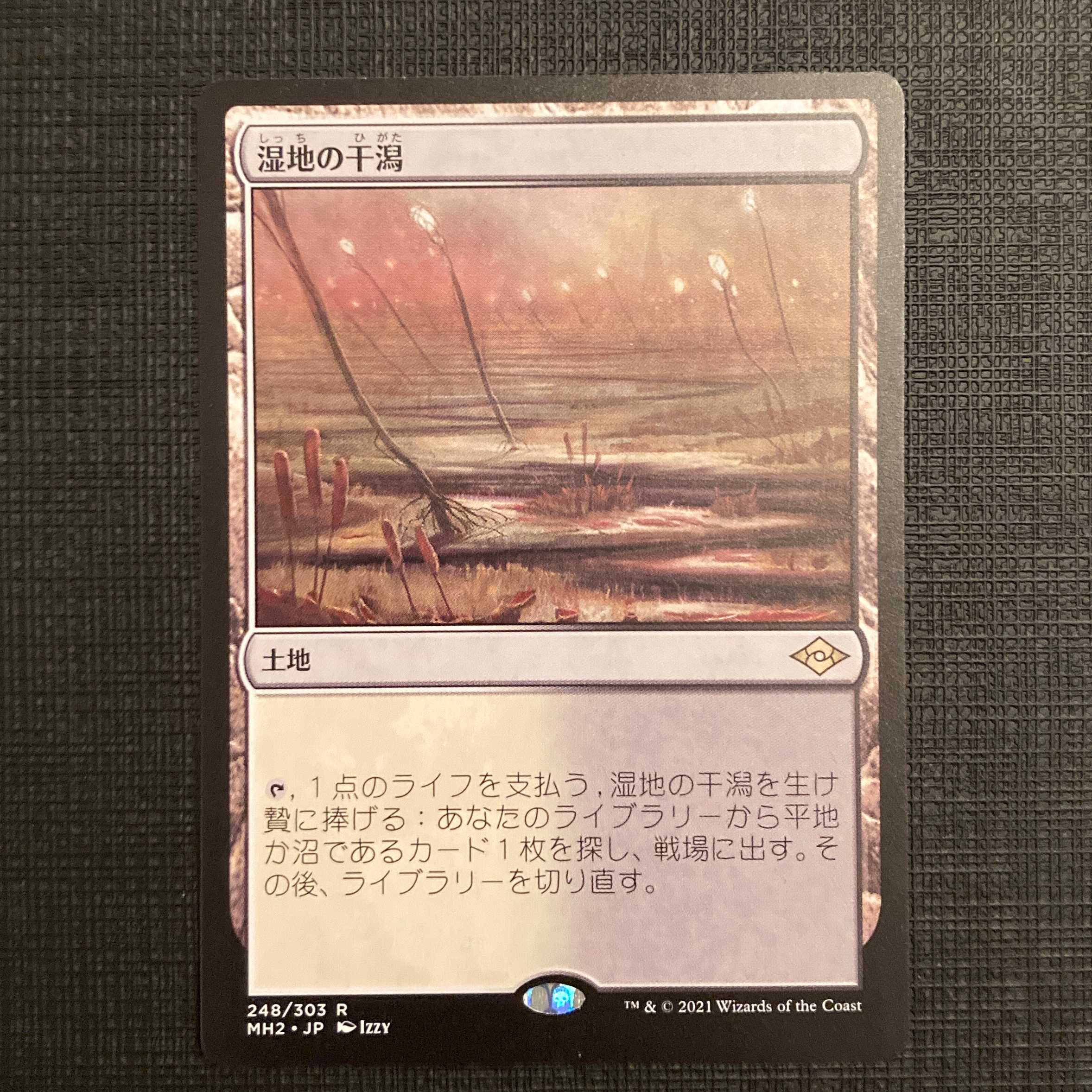 MH2【湿地の干潟】日本語