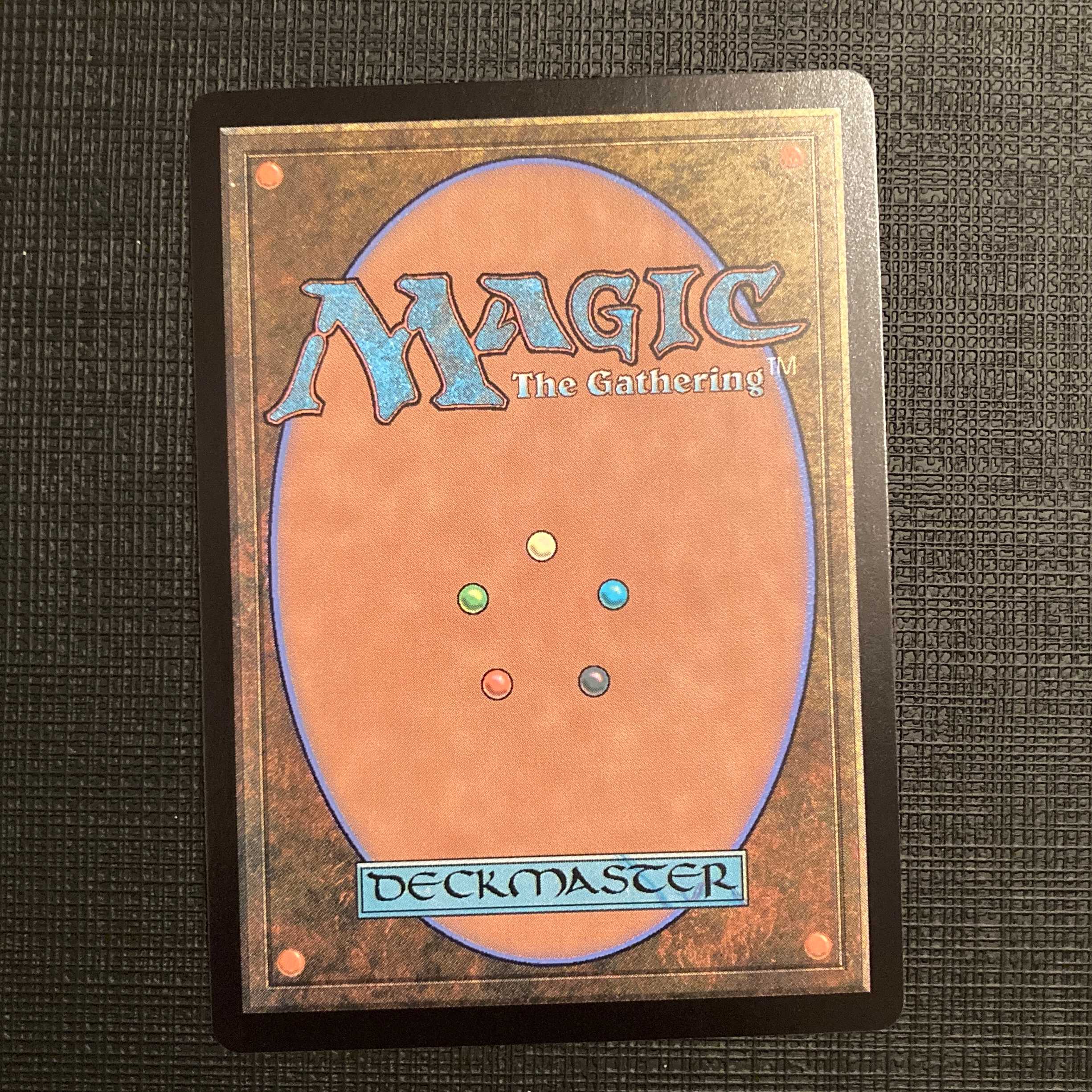 MH2【湿地の干潟】日本語