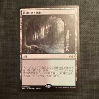 MH2【新緑の地下墓地】日本語