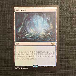 MH2【霧深い雨林】日本語