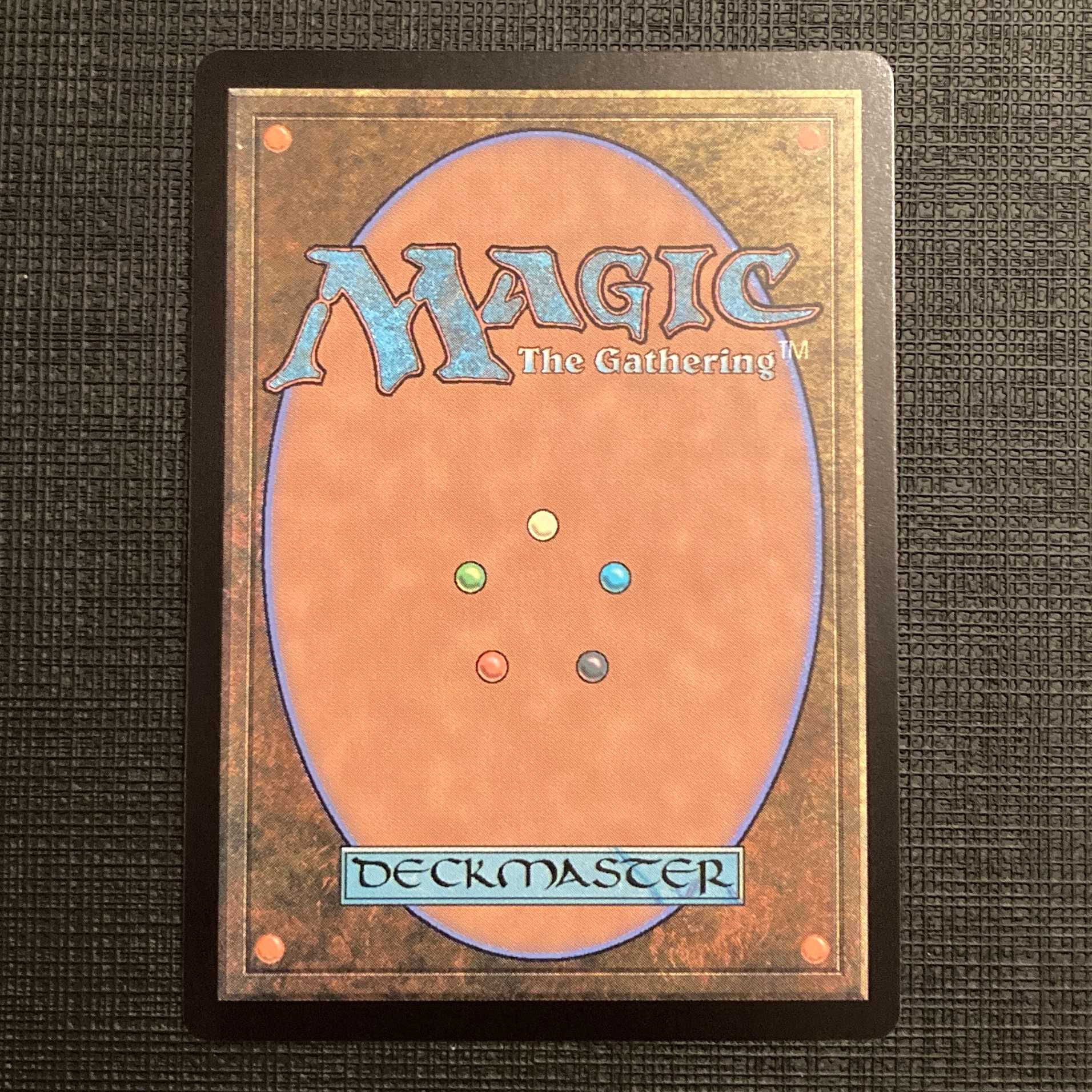 MH2【霧深い雨林】日本語