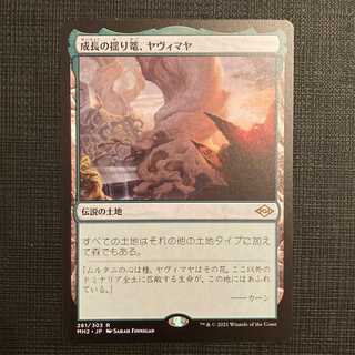 MH2【成長の揺り篭、ヤヴィマヤ】日本語