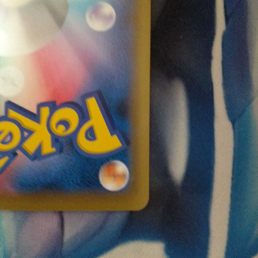 インテレオンvmax(SR仕様)