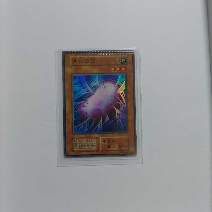 Error Cocoon of Evolution