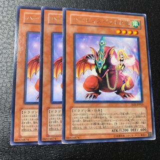 ハーピィズペット仔竜 レア