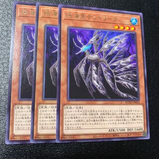 揺海魚デッドリーフ レア