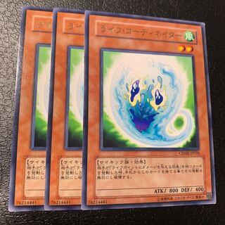 ライフ・コーディネイター レア