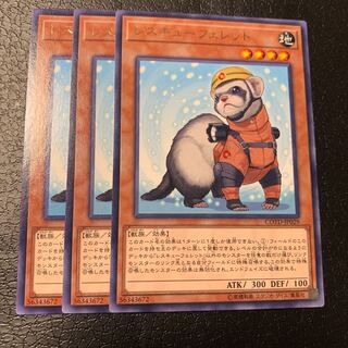 レスキューフェレット レア