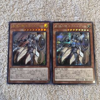 教導の騎士フルルドリス ウルトラ・シークレット