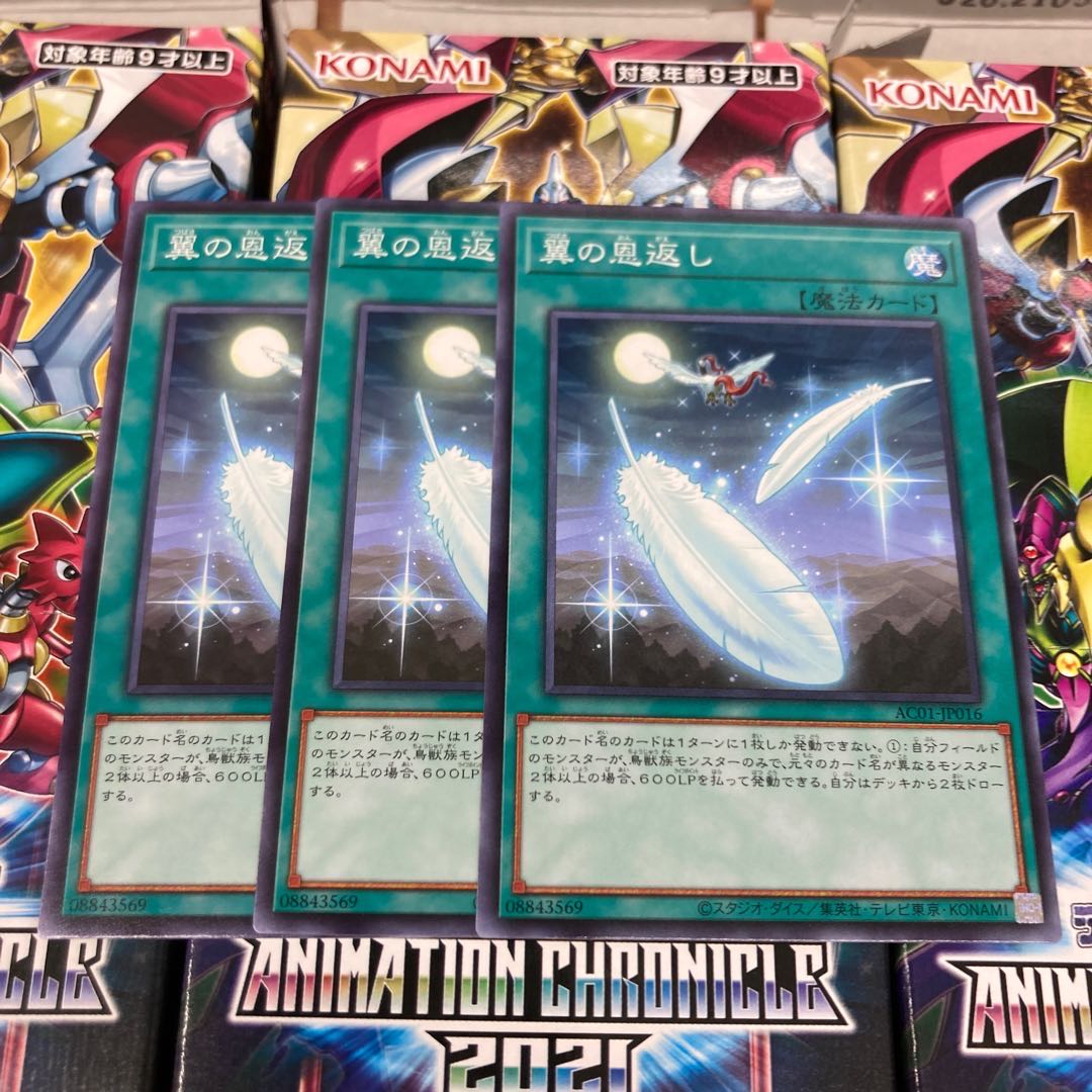 遊戯王 翼の恩返し