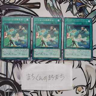 889　ハーピィの羽根休め3枚set