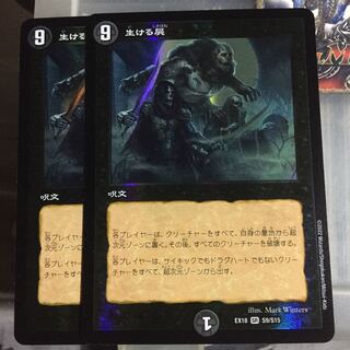 セット割引  生ける屍 2枚セット