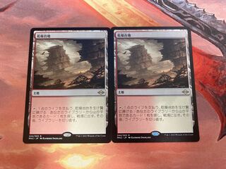 乾燥台地　2枚セット