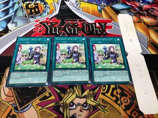 アロマガーデニング ノーマル 3枚セット てら