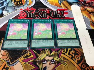 メルフィーのかくれんぼ ノーマル 3枚セット てら