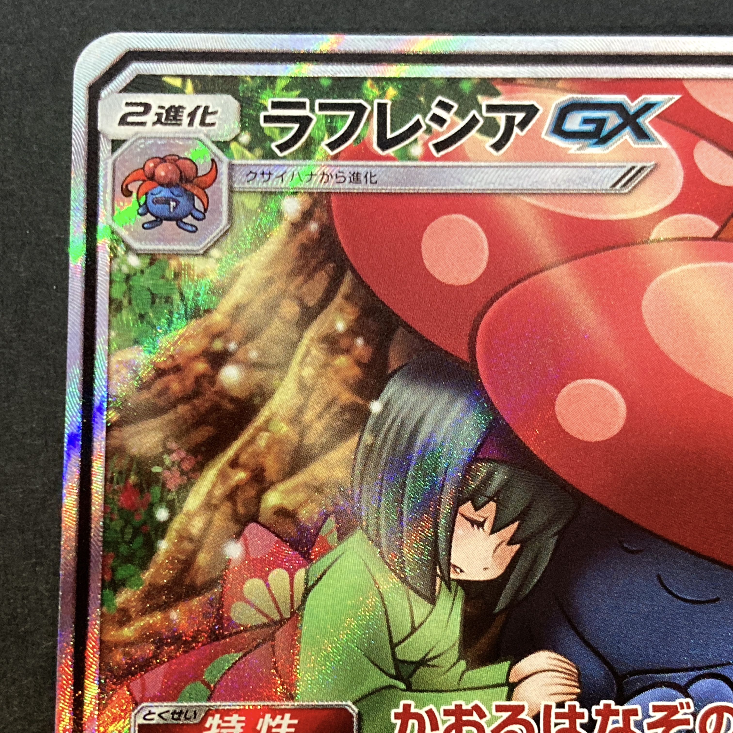 【NM-】ラフレシアGX SR 062/049 SM11b C