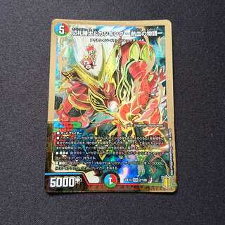 切札勝太&カツキング -熱血の物語- DSR