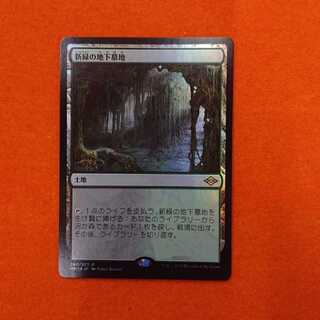 MTG1 Verdant Catacombs foil MH2 pre-release