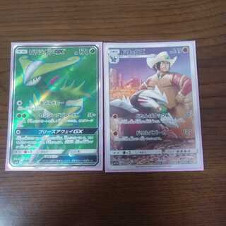 ビリジオンGXのみ