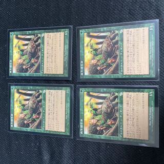 森を護る者/Sylvan Safekeeper 日4枚 4枚