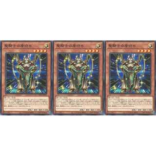 聖騎士の盾持ち ノーマル 3枚 AC01017 ケイトレード