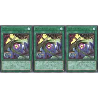 エコール・ド・ゾーン  ウルトラ 3枚 AC01021 ケイトレード