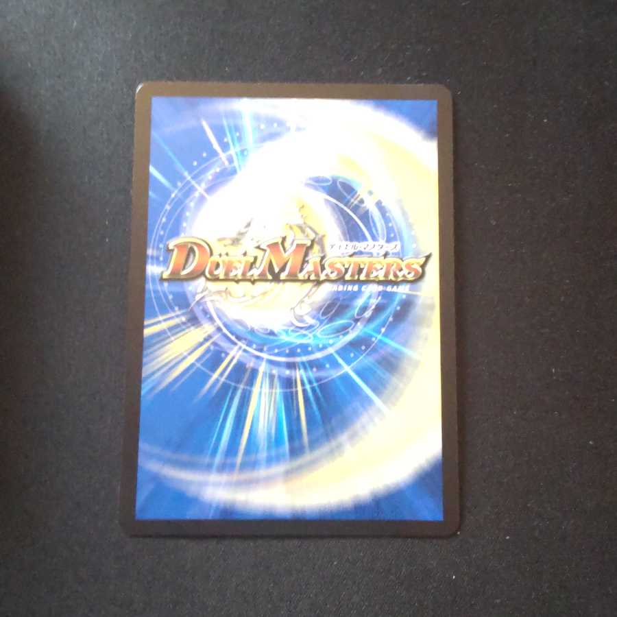 龍風混成 ザーディクリカ