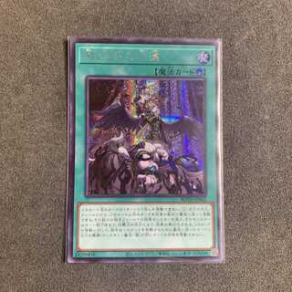 禁じられた一滴 シークレットレア