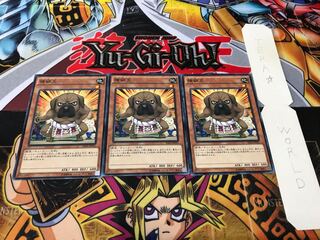 横綱犬 ノーマル 3枚セット てら