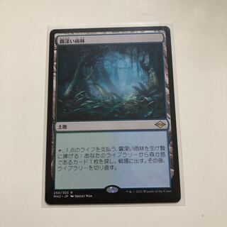 霧深い雨林　1枚