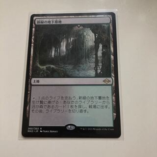 新緑の地下墓地　1枚