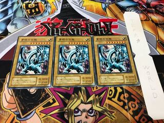 青眼の白龍 2期ver ノーマル 3枚セット てら
