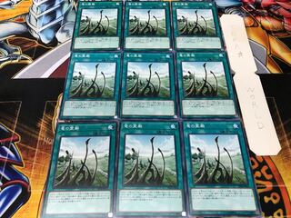 竜の霊廟 ノーマル 9枚セット てら