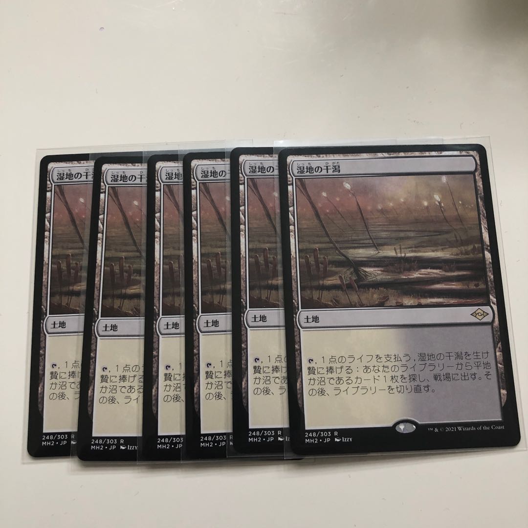 湿地の干潟 1枚