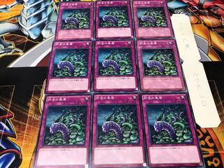 Needlebug Nest Normal 9-piece set, Terra