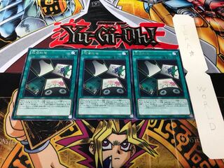 Flower Gathering rare, set of 3, Terra