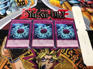 バージェストマ・ディノミスクス EP16 レア 3枚セット てら