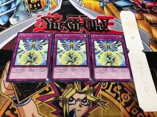 Nine Pillars of Yang Zing Rare Set of 3 Tera