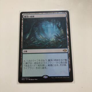 霧深い雨林　1枚