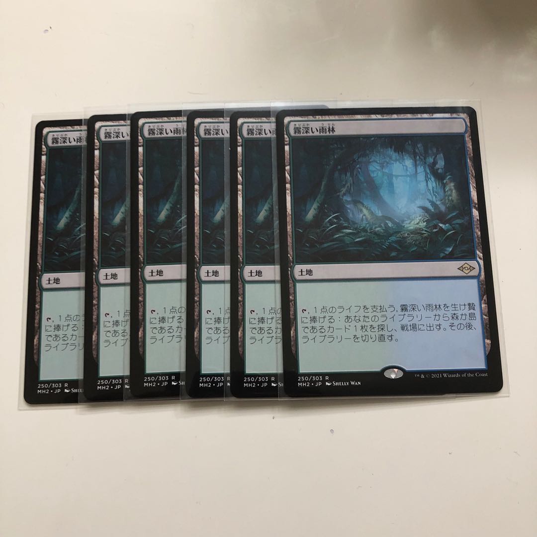 霧深い雨林　1枚