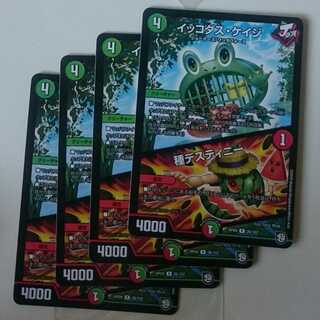 イッコダス・ケイジ｜種デスティニー