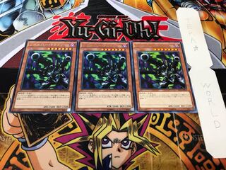 Barrel Dragon rare, set of 3, Tera.