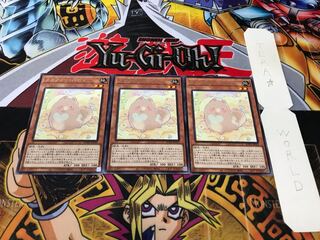 メルフィー・パピィ レア 3枚セット てら