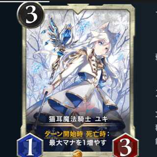 猫耳魔法騎士　ユキ