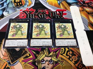 ティーチャーマドルチェ・グラスフレ レア 3枚セット てら