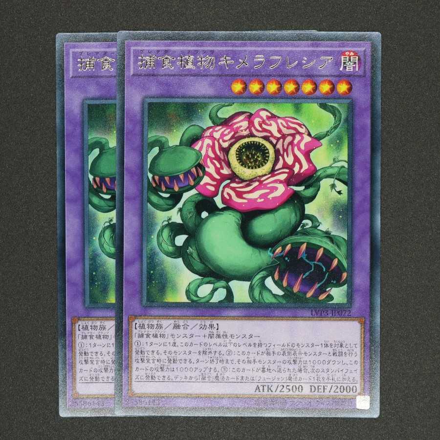 捕食植物キメラフレシア レア 2枚セット