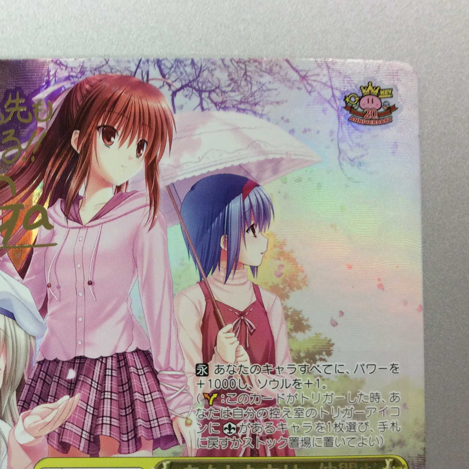 (微キズ)あたしたちは、仲間だ SEC シークレット