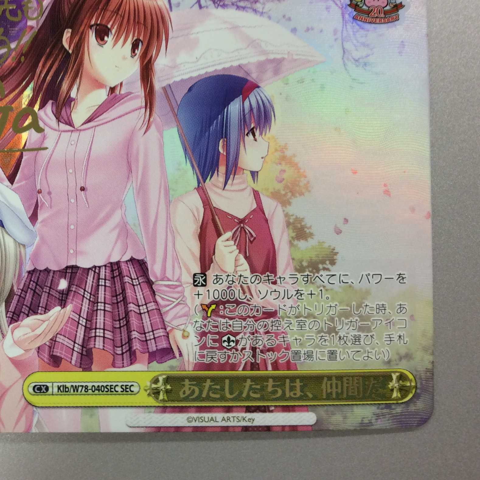 (微キズ)あたしたちは、仲間だ SEC シークレット