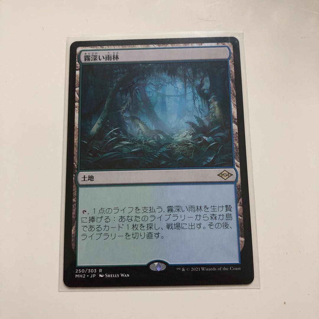 霧深い雨林　1枚